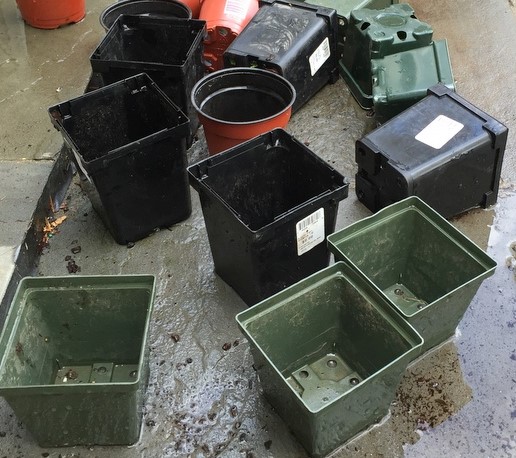Plant pots photo