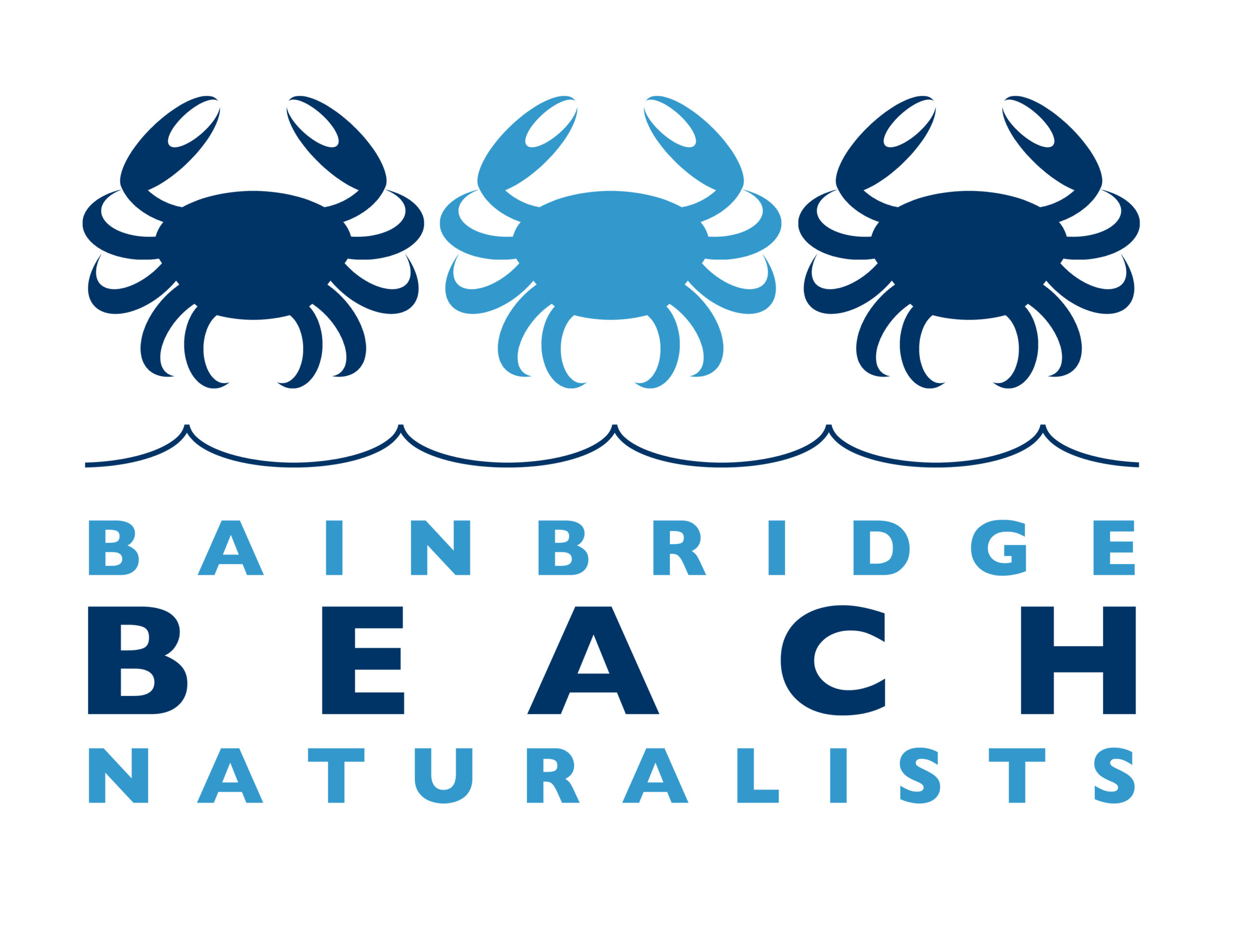 bbnlogo11X8
