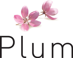 Plum Logo