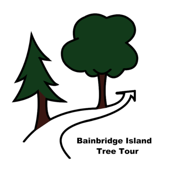 Bainbridge Island Tree Tour Sustainable Bainbridge
