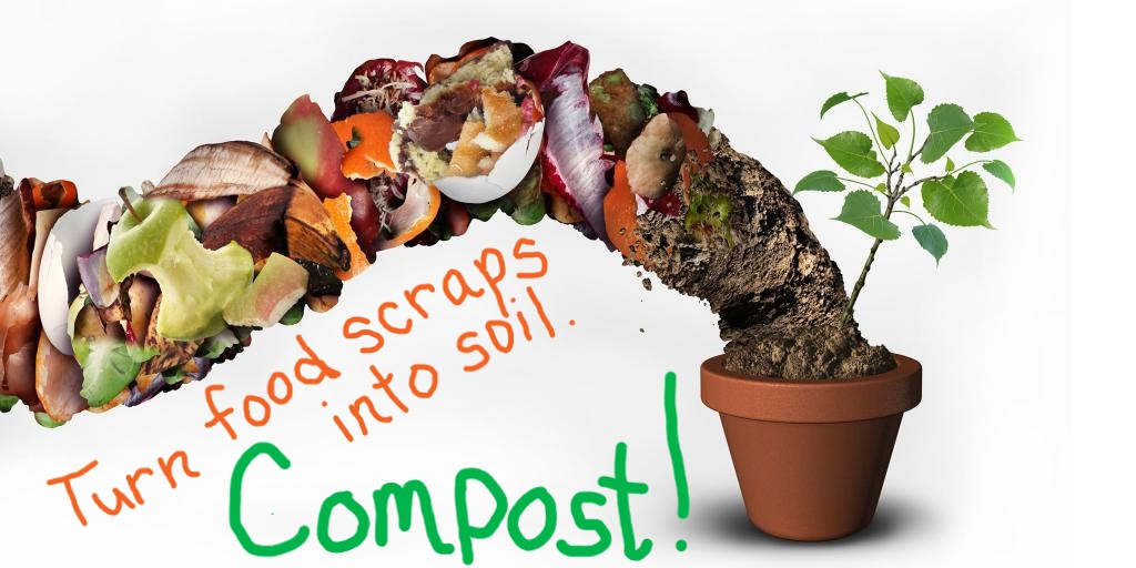 Zero Waste Sustainable Bainbridge