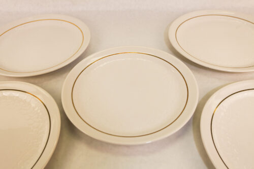 Dinner plates